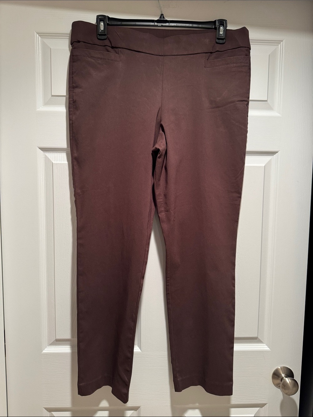 Briggs Women's Slim Pants - brown